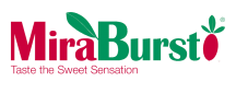 MiraBurst Coupons & Promo codes