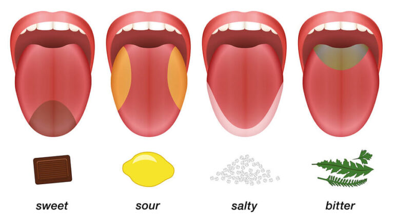 Miracles Berries and the Science of Taste - MiraBurst Miracle Berry