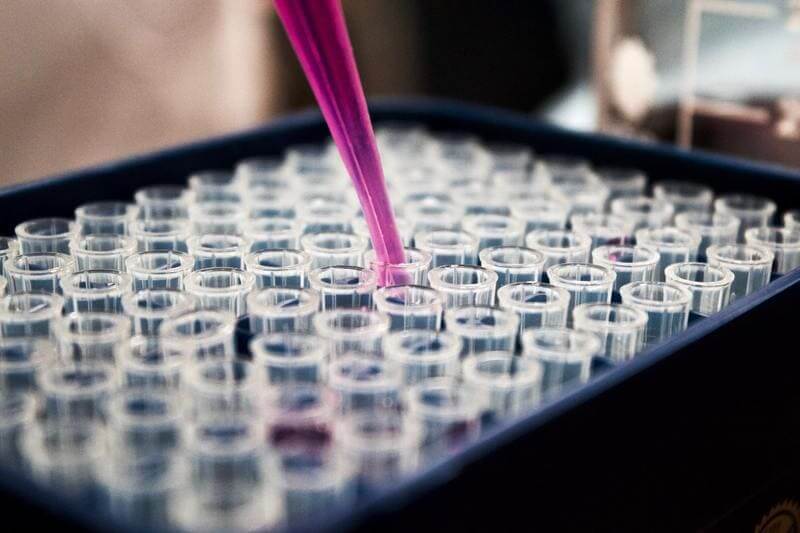 lab samples with pink juice