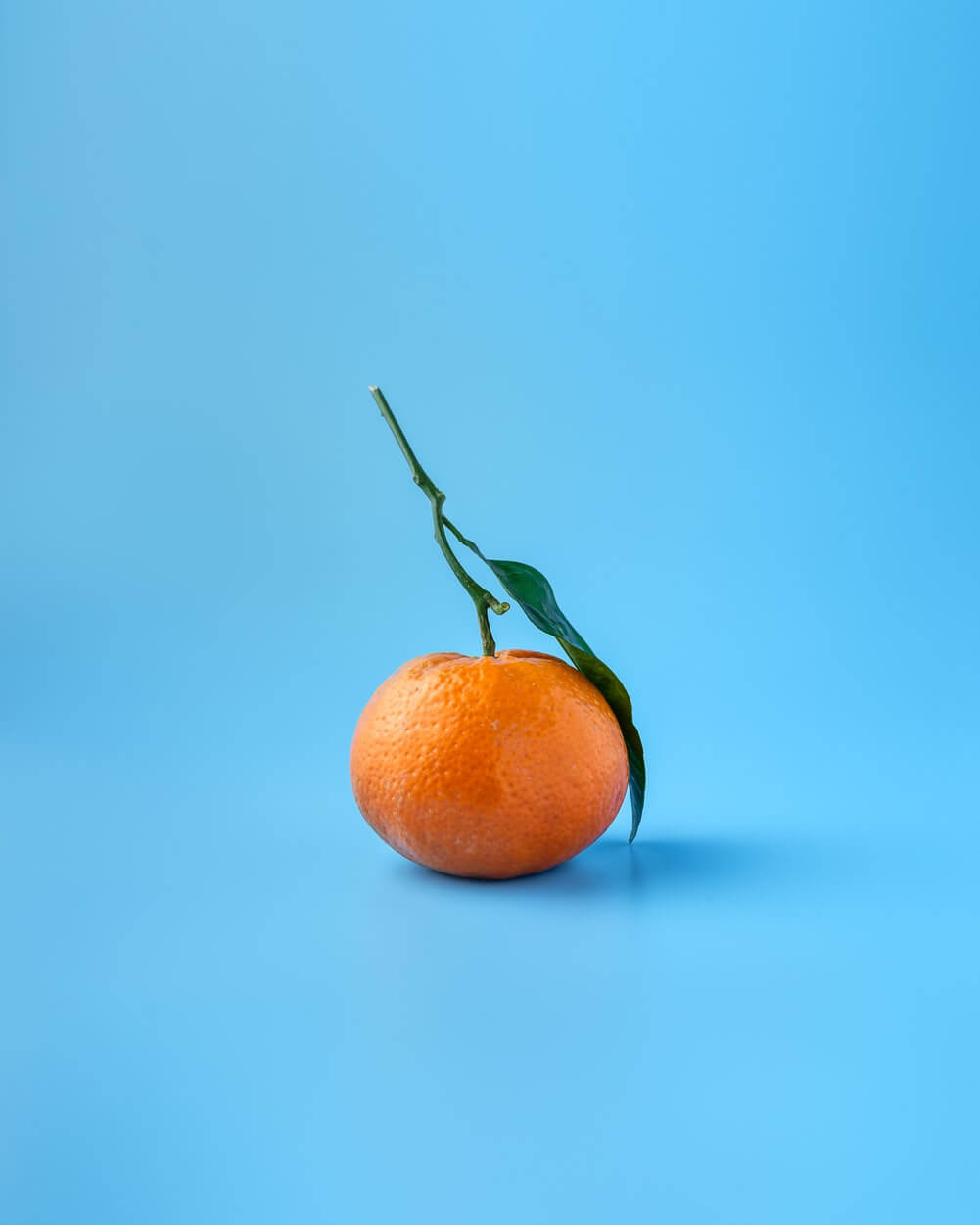 an orange in front of a bright blue background
